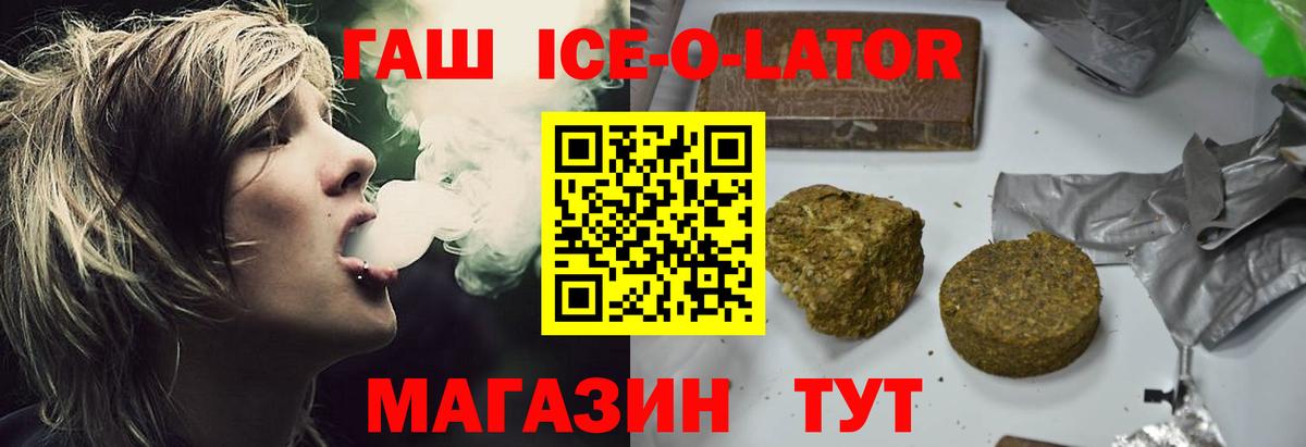 ГАШ Изолятор Гусев