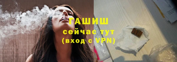 гидра Богданович