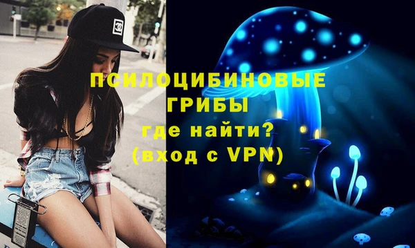 дживик Белоозёрский