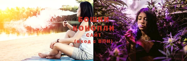 mdpv Белокуриха