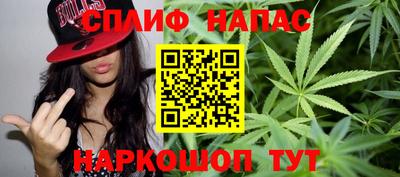 СК Краснодар