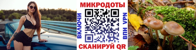 Галлюциногенные грибы Psilocybine cubensis Гусев