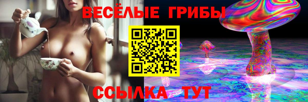 Псилоцибиновые грибы прущие грибы  Вход с VPN  Гусев  Псилоцибиновые грибы Psilocybine cubensis 